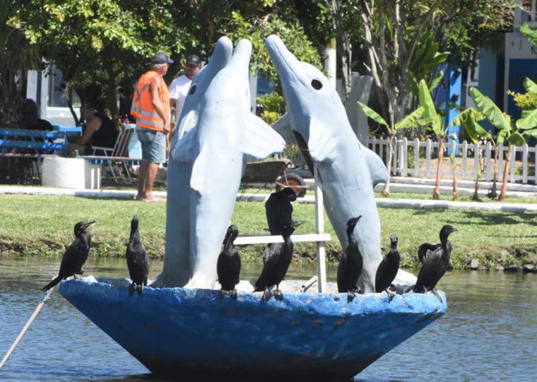 Os biguás parecem saudar o monumento em homenagem aos botos
