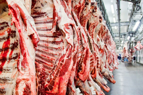 Governo aguarda auditoria de europeus na produção da carne bovina para destravar exportações