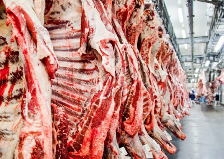 Exportações diretas de carne bovina para o Oriente Médio somaram US$ 2 bilhões em 2025, diz Abiec