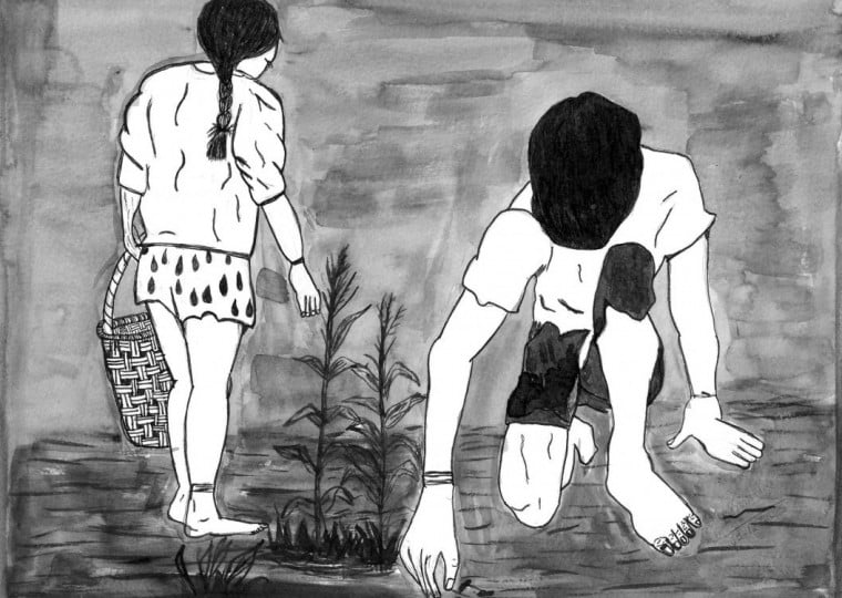 Trabalho de Vera Kaninhka pode ser visitado até o dia 13 de maio