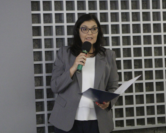 Mais da metade dos municípios gaúchos ignoram políticas para mulheres