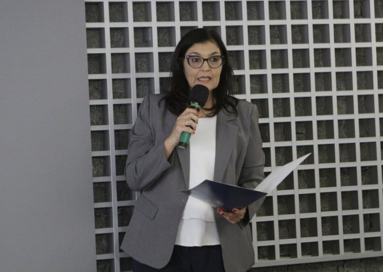 Segundo a diretora de Controle e Fiscalização do TCE, Andrea Mallmann, o tribunal vai fiscalizar as políticas contra a violência doméstica na análise das contas municipais