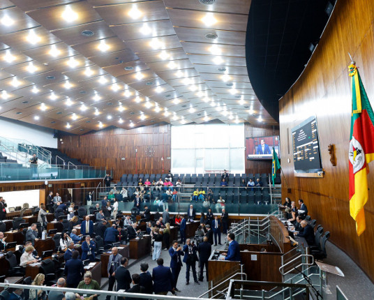 Deputados do RS aprovam 15 projetos com políticas para mulheres