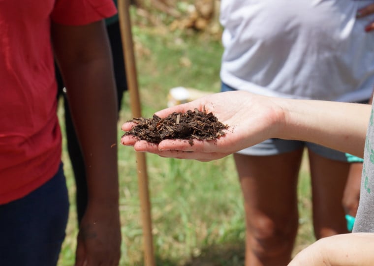 Mais de uma tonelada de alimentos foi doada aos moradores, e frutas e verduras que não são consumidas viram adubo
