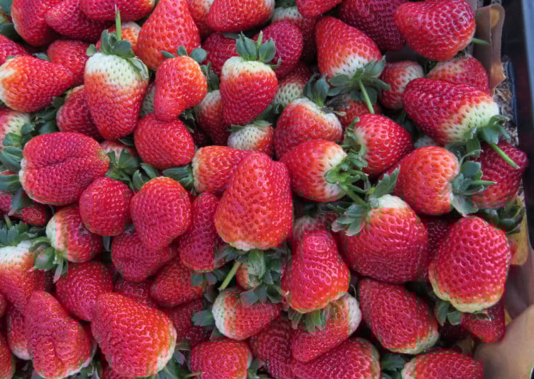 Importação passou de 2,2 mil toneladas em 2022 para 35,9 mil toneladas em 2025, com alta de 1.400% 