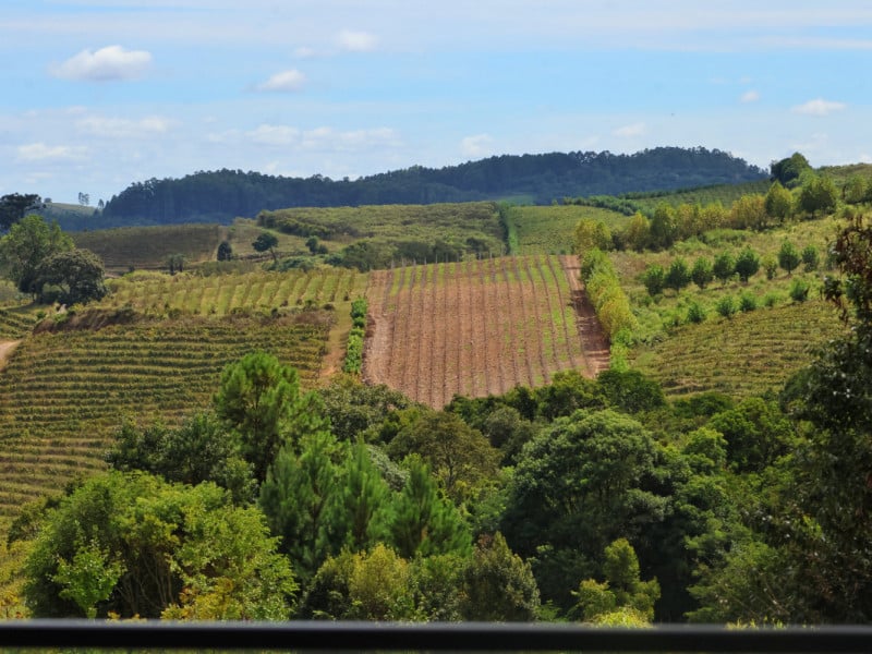 A Paulo Geremia Vino &amp; Cucina &eacute; novidade no Vale dos Vinhedos<br />Foto: DANI BARCELLOS/ESPECIAL/JC