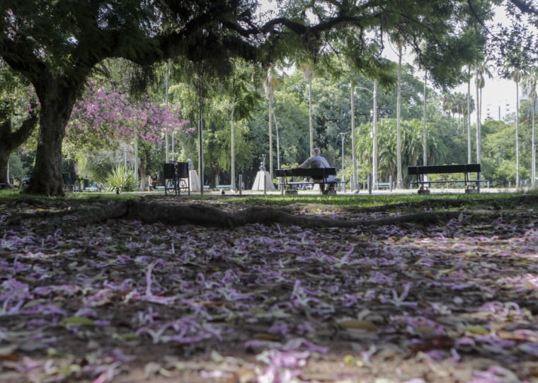 A partir das 11h45min desta sexta-feira (20), tem início o outono no hemisfério Sul