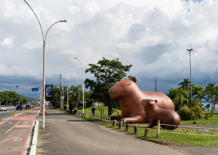  A obra da capivara possui 5 metros de altura e quase 10 de comprimento