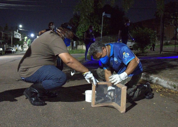 Equipes fizeram a aplicação de inseticida e a captura de animais; ação é feita em parceria com instituto do Rio de Janeiro