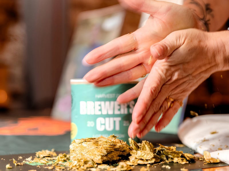 O "Brewer's Cut" &eacute; a escolha t&eacute;cnica de lotes exclusivos de l&uacute;pulo na mesa do produtor, separando os melhores perfis arom&aacute;ticos antes que sejam misturados<br />Foto: Hops Company/Divulga&ccedil;&atilde;o/JC