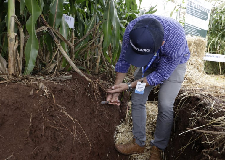 Adoção adequada do sistema de plantio direto é apontada como uma estratégia relevante