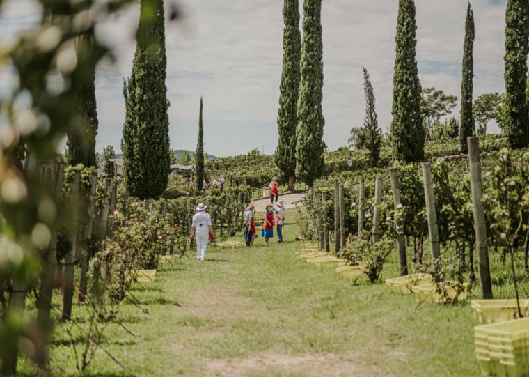 Festival tem expectativa de reunir 5 mil pessoas em evento aberto no sábado, 28