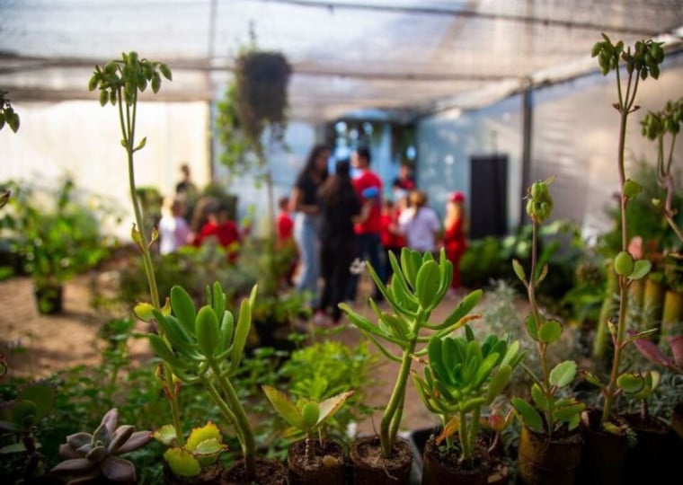 Aulas serão desenvolvidas no próprio Jardim Botânico, utilizando o espaço como ambiente de aprendizagem e experimentação
