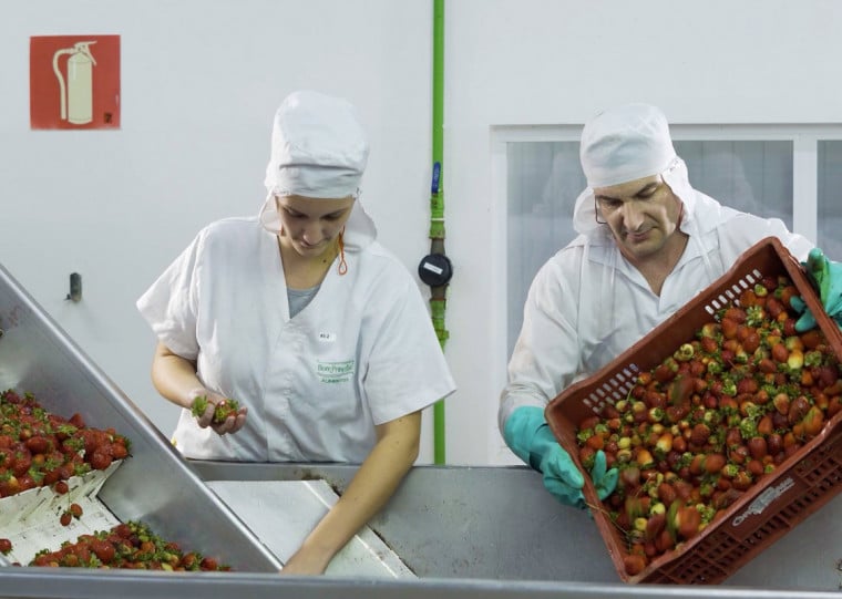 Frutas s&atilde;o atrativos levados a feiras internacionais pela Bom Princ&iacute;pio