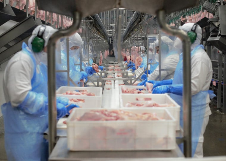 No Rio Grande do Sul, 44% da produção avícola está concentrada entre a Serra Gáucha e o Vale do Caí