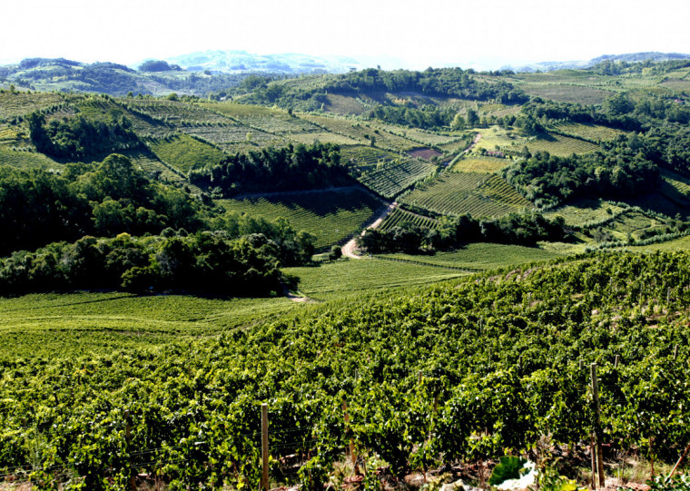 Alta industrialização, produtos com indicação geográfica e turismo são fatores que favorecem resultado na Serra