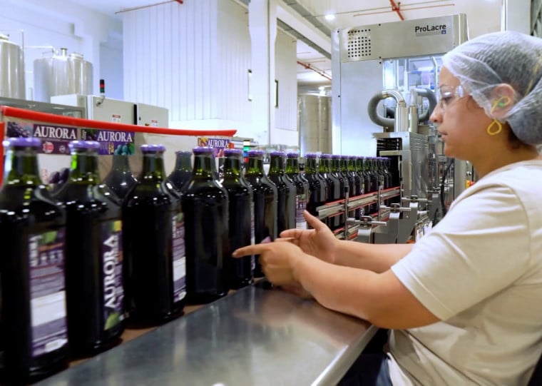 Vinícola Aurora - Engarrafamento suco de uva - Crédito Cooperativa Vinícola Aurora, divulgação - Mapa Econômico do RS 2026 Região Serra