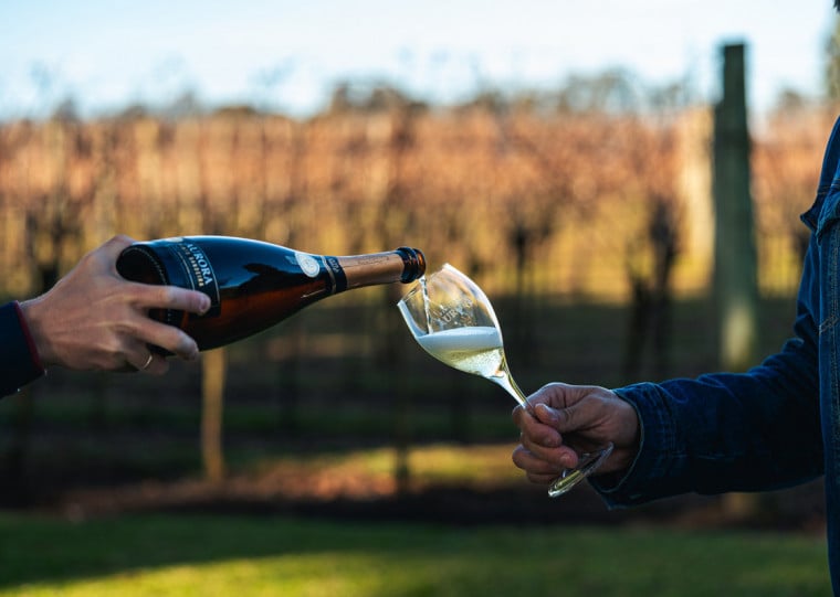 Aurora levou a feiras na Fran&ccedil;a e na Alemanha espumantes, vinhos leves e produtos sem &aacute;lcool