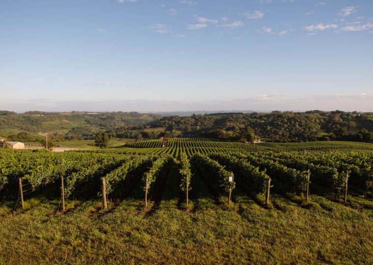 Vinhos e espumantes ganharão competitividade com tarifas zeradas em até 12 anos