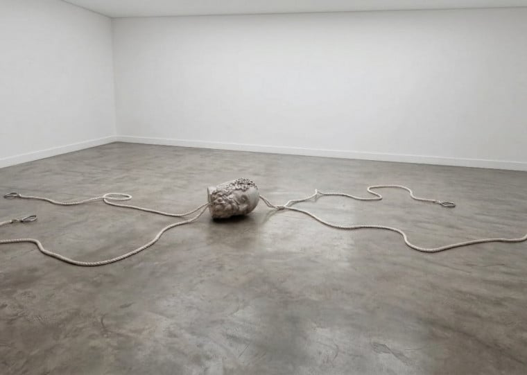 Explorando arte, ciência e percepção humana, a publicação idealizada pelas artistas Lara Cattani e Munir Klamt é uma iniciativa interdisciplinar da Torus