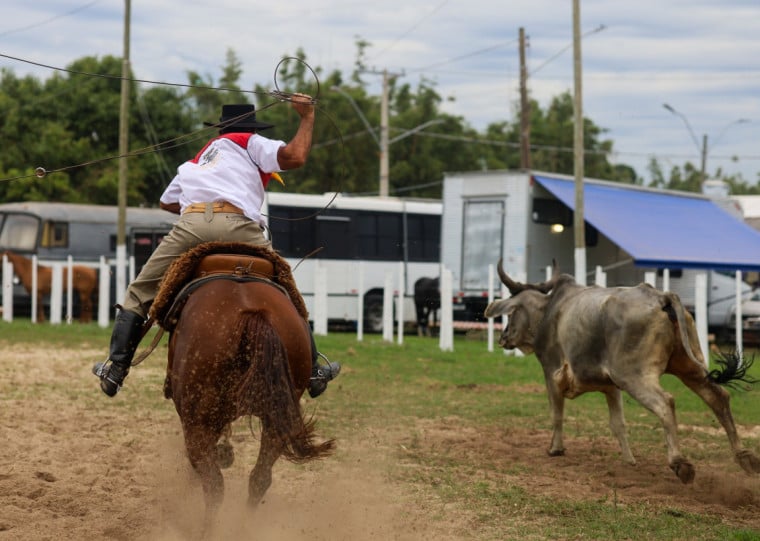 Rodeios est&atilde;o entre as principais atra&ccedil;&otilde;es do calend&aacute;rio tradicionalista