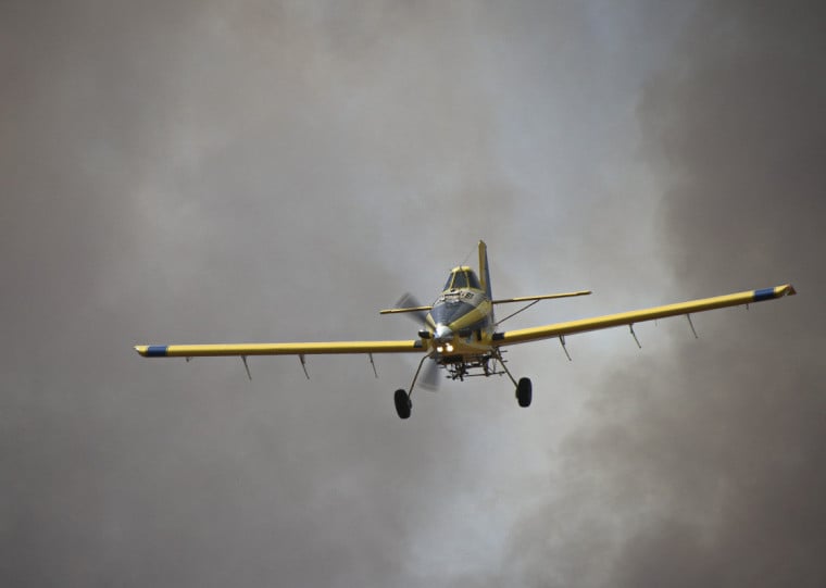 Empresas têm revisado contratos, ajustado operações e buscado maior eficiência para absorver parte dos custos