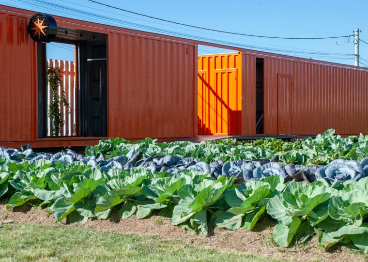 Na rua Conde de Porto Alegre são produzidos cerca de 150 quilos de hortaliças por mês