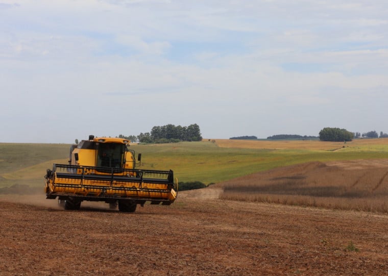 A produção de soja deve ser recorde, estimada em 179,15 milhões de toneladas