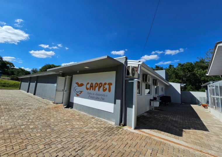 Em 2025, o município fez 2432 castrações de animais abandonados e para comunidade