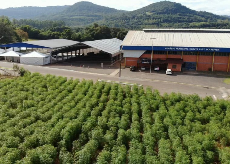 A estrutura do evento, no Parque Municipal Leonardo Teodoro Arnhold, está em fase final de montagem