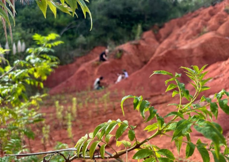 Características da evolução do solo na região central do RS possibilita descoberta de animais pré-históricos