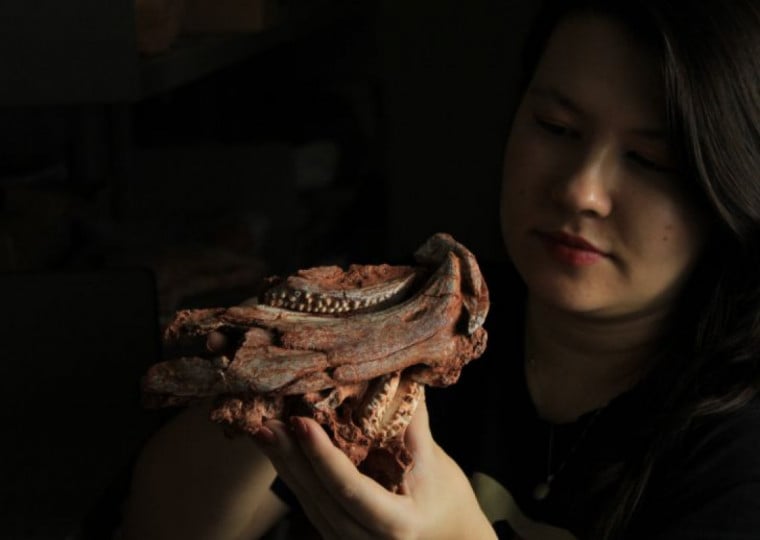 Nascida em Agudo, Jeung Hee sonhava em estudar animais pré-históricos