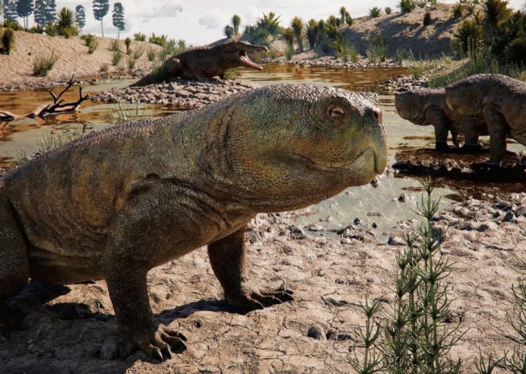 Simulação mostra o rincossauro no ambiente provável em que viveu há 230 milhões de anos, onde hoje fica Agudo