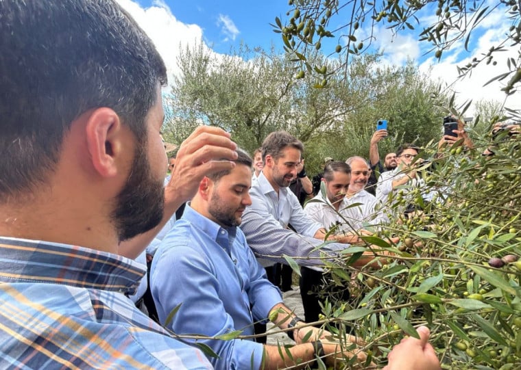 Condições climáticas favoráveis e avanço técnico da atividade contribuíram para a safra recorde