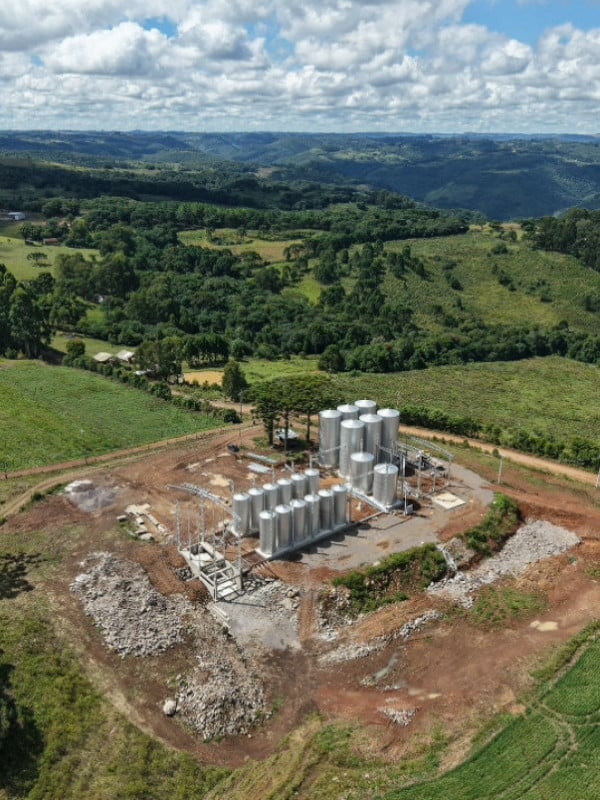 Vinho gaúcho é o mais vendido do Brasil e terá produção expandida com nova fábrica