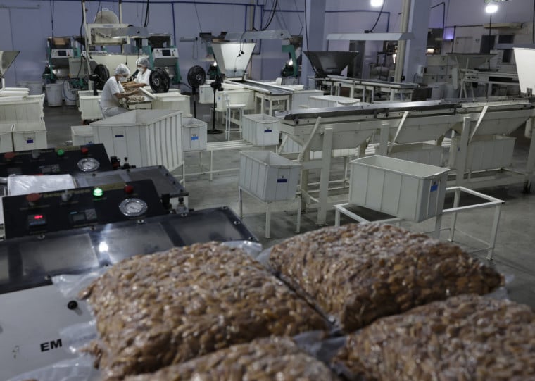 O relatório destaca ainda sinais de perda de tração no mercado de trabalho do setor