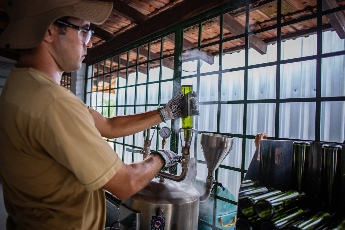 Agroind&uacute;stria da Olivas do Sul produz azeites a partir das variedades arbequina, koroneiki e coratina | Olivas do Sul/Divulga&ccedil;&atilde;o/JC