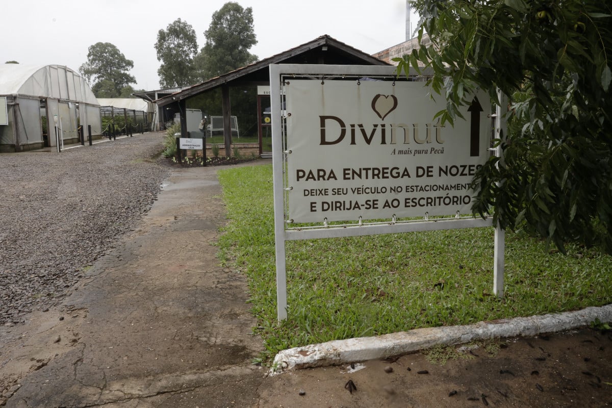 Produtores parceiros comercializam noz-pec&atilde; para o processamento da Divinut | T&Acirc;NIA MEINERZ/JC