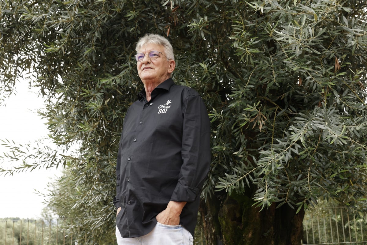 Aued destaca oliveira centen&aacute;ria da propriedade, utilizada para a produ&ccedil;&atilde;o de um azeite comercializado em notes numerados e assinados | T&Acirc;NIA MEINERZ/JC