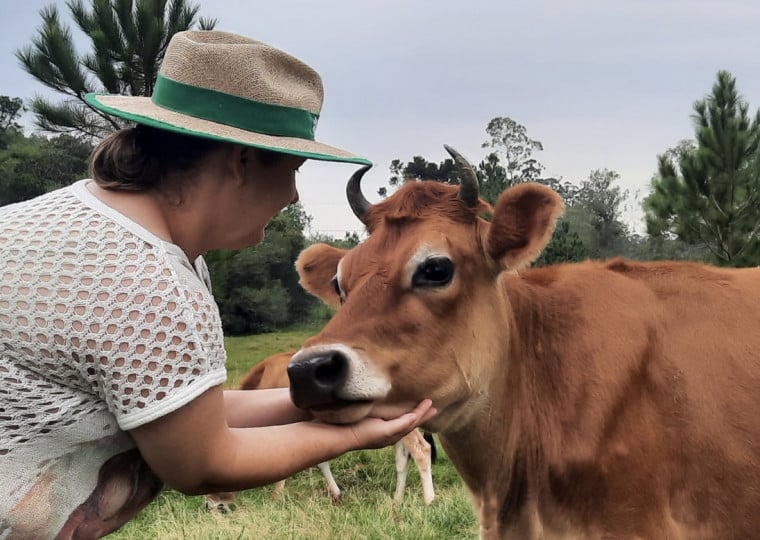 A vaquinha Nina faz parte do rebanho de Camila Leipelt de Freitas e contribui para a produ&ccedil;&atilde;o de leite org&acirc;nico que sustenta o neg&oacute;cio da fam&iacute;lia