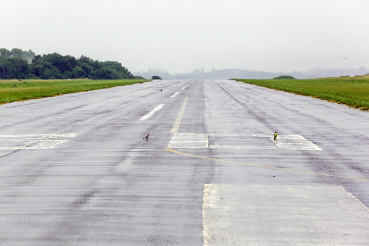 Aeroporto conta com cerca de mil metros de pista asfaltada atualmente, podendo receber aeronaves de pequeno e m&eacute;dio porte | T&Acirc;NIA MEINERZ/JC