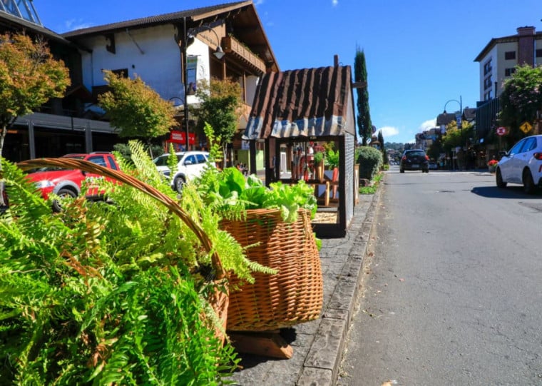 Foram cultivados diferentes tipos de alface, couves ornamentais, milho e outras esp&eacute;cies, que est&atilde;o espalhadas pela cidade