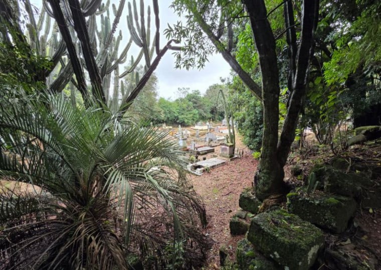 Jazigos contempor&acirc;neos convivem com ru&iacute;nas do cemit&eacute;rio missioneiro em Entre Iju&iacute;s | L&iacute;via Ara&uacute;jo/Especial/Cidades