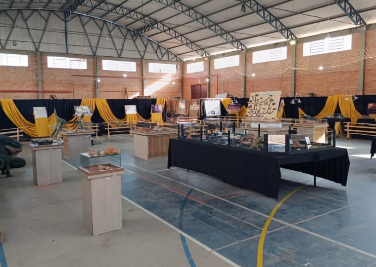 Museu Municipal Aristides Carlos Rodrigues, em Candelária, tem exposição com cerca de 50 animais pré-históricos