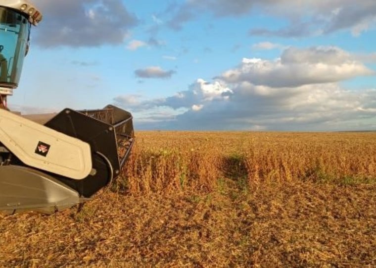 Com avanço na colheita de soja, Rio Grande do Sul já alcança 15 milhões de toneladas colhidas