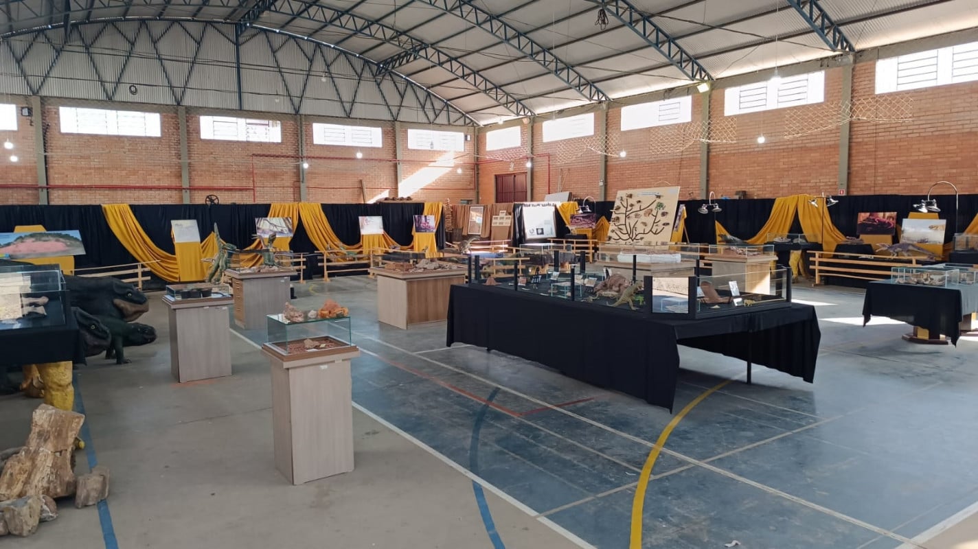 Museu Municipal Aristides Carlos Rodrigues exp&ocirc;e mais de 50 animais pr&eacute;-hist&oacute;ricos em Candel&aacute;ria | Carlos Nunes Rodrigues/Divulga&ccedil;&atilde;o/Cidades