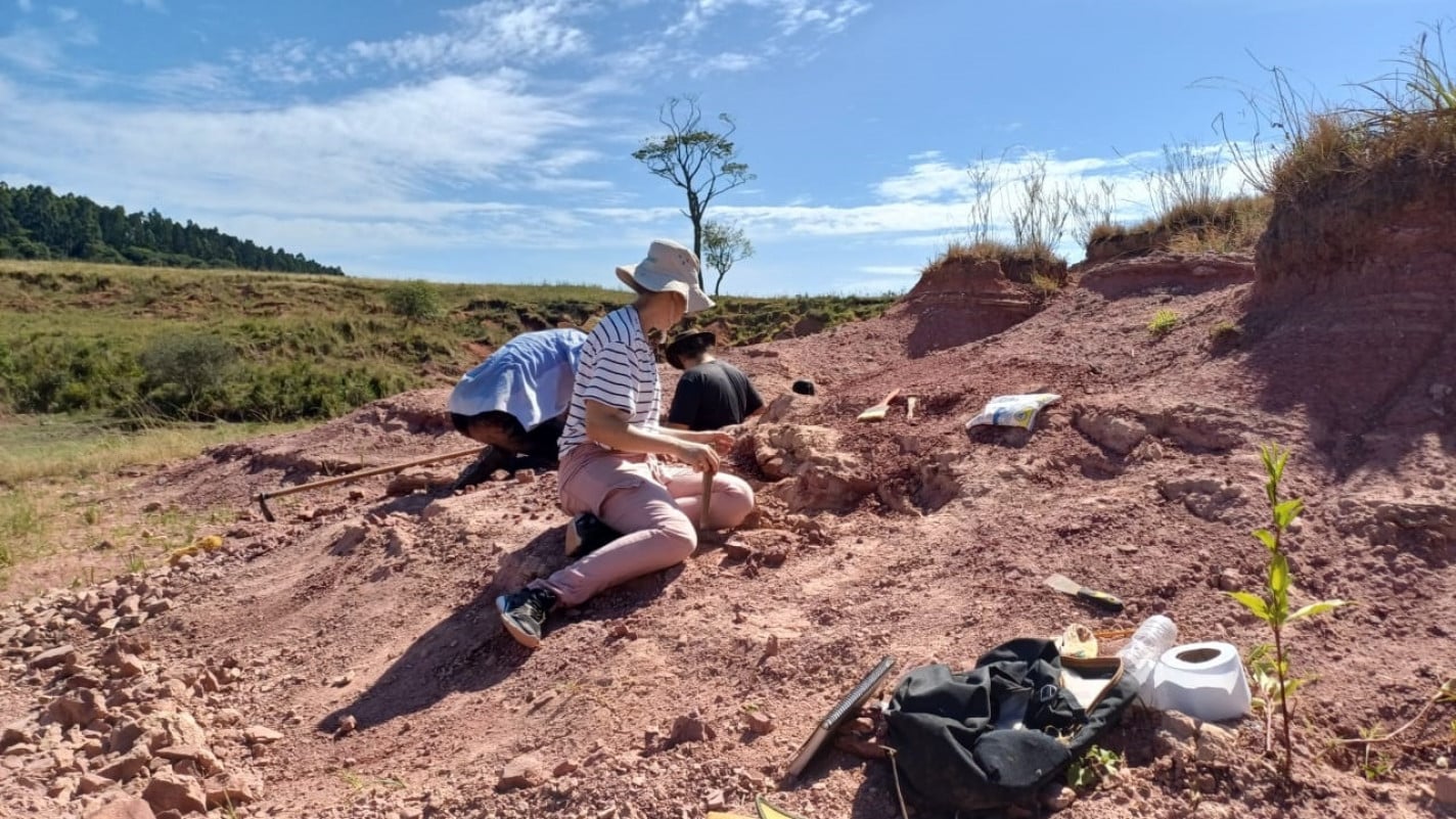 Buscam ocorrem, principalmente, ao longo da extens&atilde;o da Quarta Col&ocirc;nia | Fl&aacute;vio A. Pretto/Divulga&ccedil;&atilde;o/Cidades