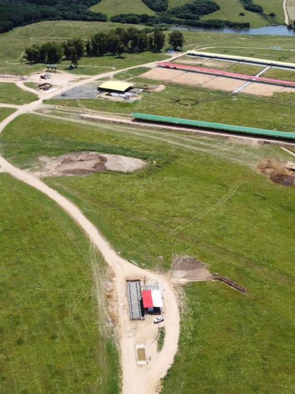 Município do Sul do Estado será plataforma para exportação de bois vivos