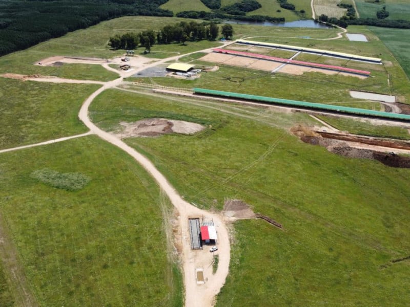 Município do Sul do Estado será plataforma para exportação de bois vivos