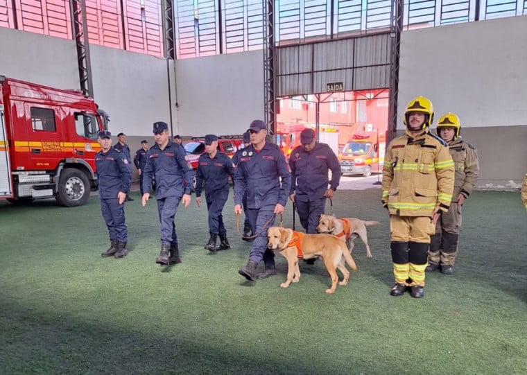 Soldados e cães são treinados para operações de localização de pessoas vivas, restos mortais e busca por odor específico